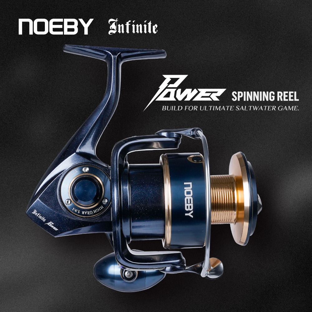 노이비 인피니트 파워 스피닝 낚시릴 5000H 6000 - Daiwa Reel Bg 리뷰 및 가격